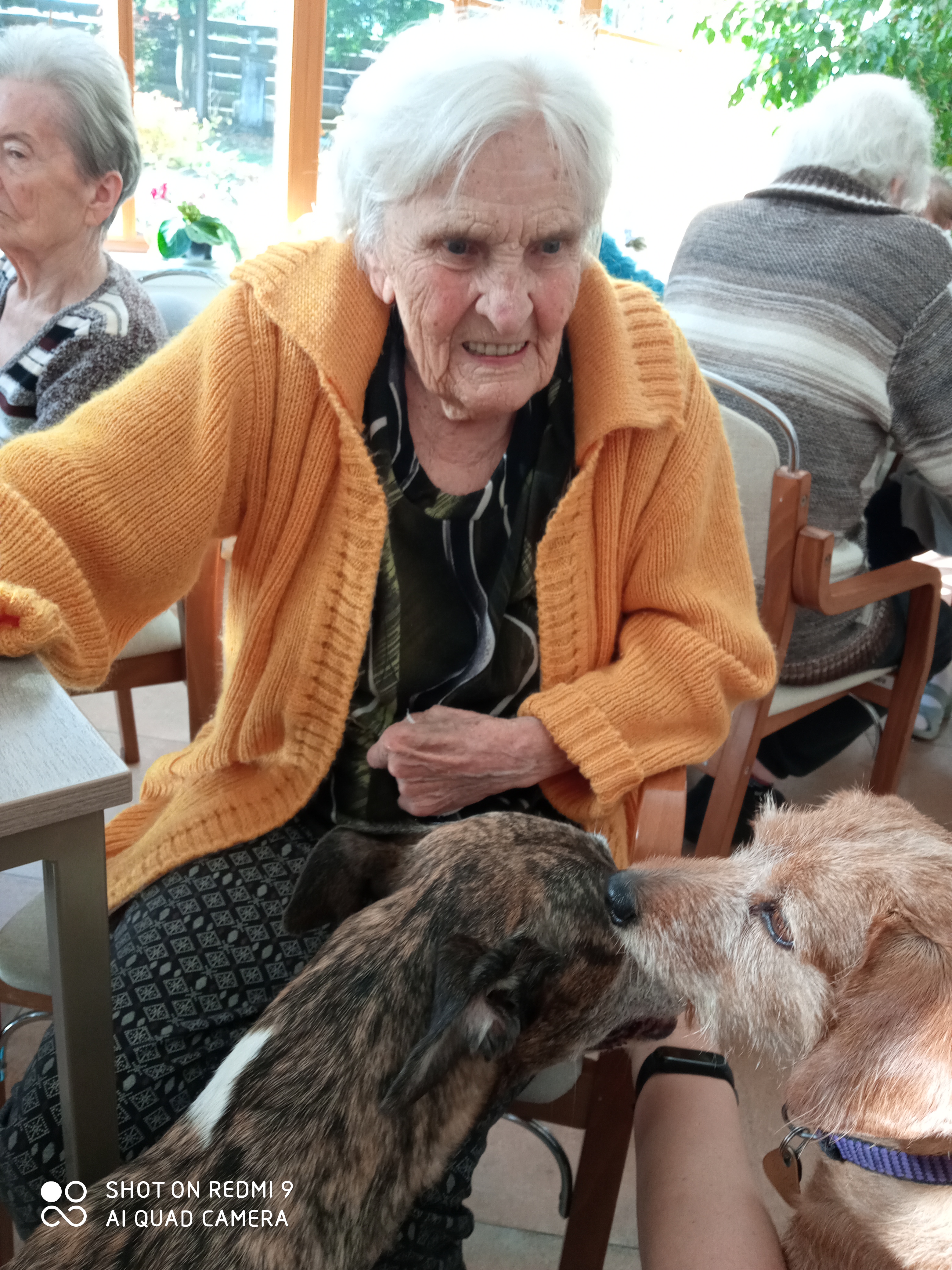 alzheimercentrum